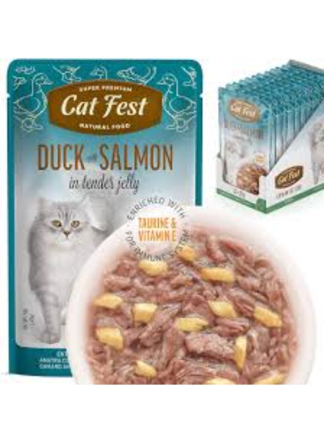Cat Fest Wet Cat Food Duck with Salmon in Tender Jelly High Protein 70g From Varmacy - Image 2